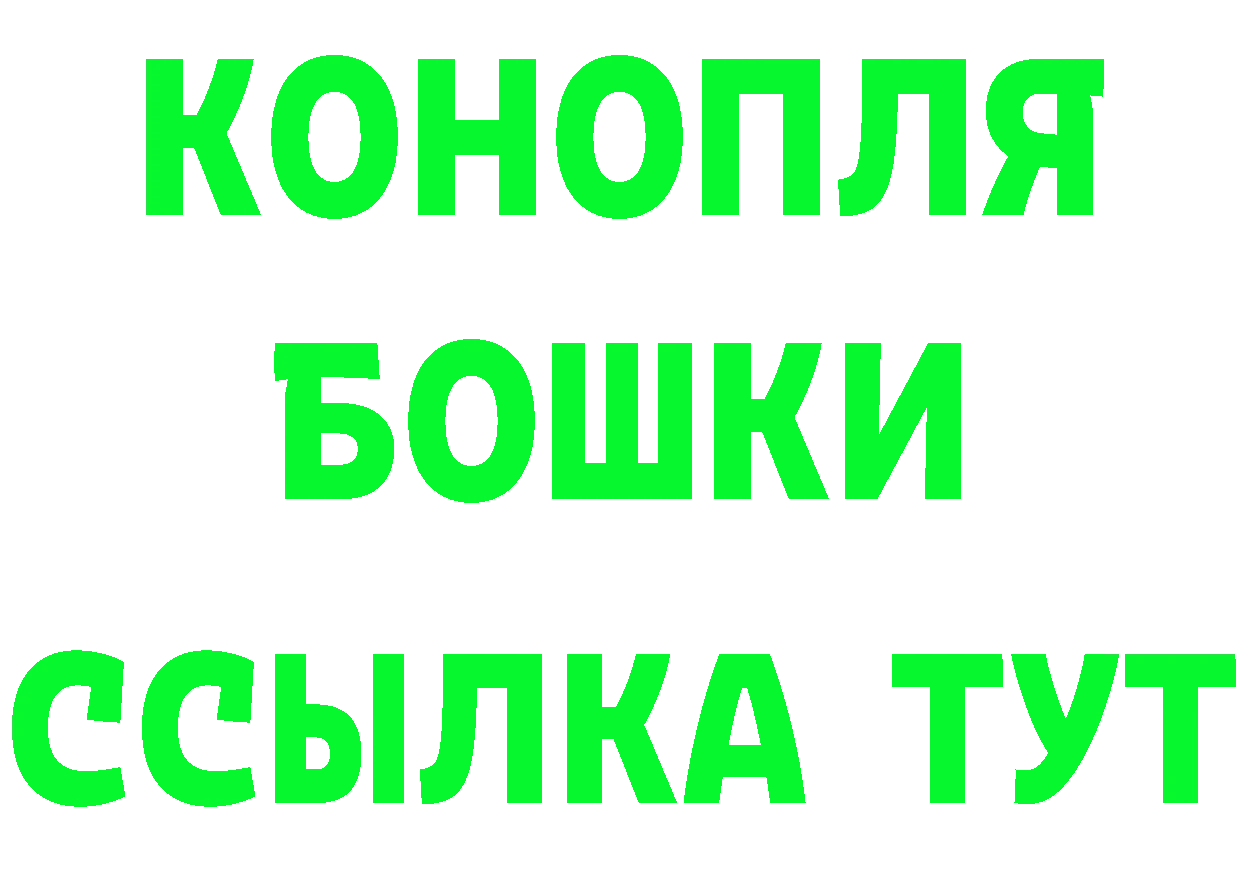 Бошки Шишки ГИДРОПОН ТОР маркетплейс OMG Нефтекумск